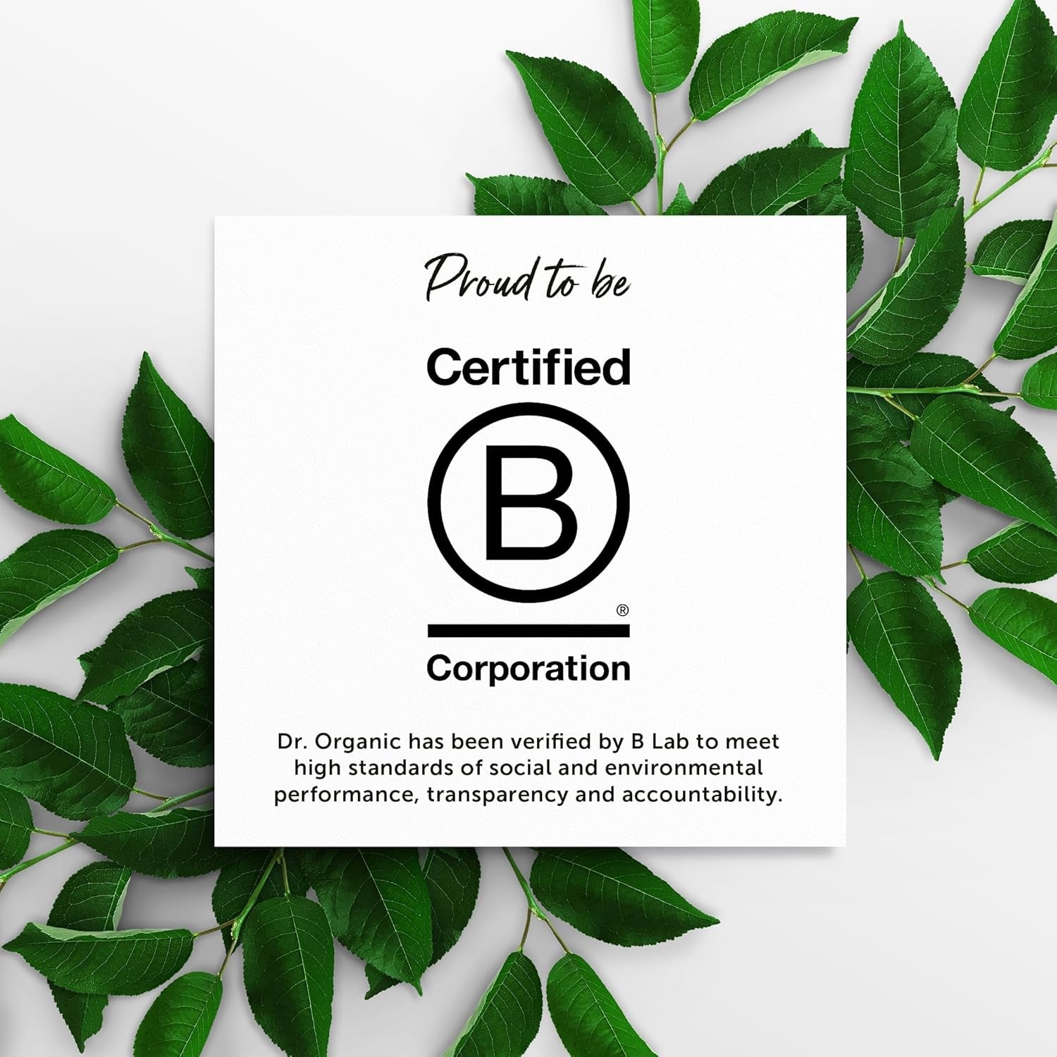 Revitalize Your Skin with  Rose Otto Face Scrub - Deep Exfoliation for Radiant, Glowy Skin | Vegan & Certified Organic | 125ml